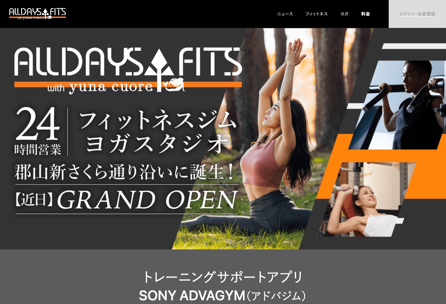 Alldays Fits With Yunacuore